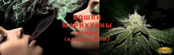 гидра Арсеньев