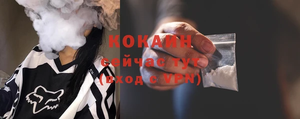 гидра Арсеньев
