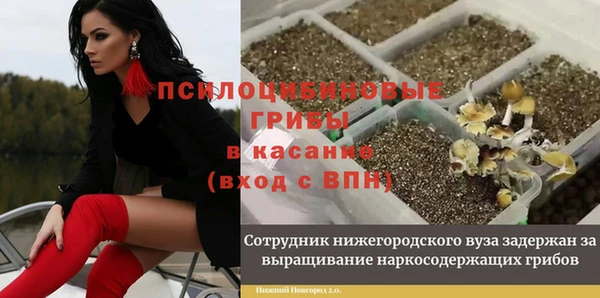 гидра Арсеньев