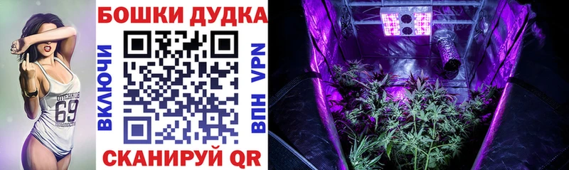 МАРИХУАНА Amnesia  Гремячинск 